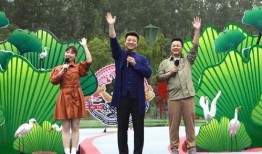 料理猫爆料视频大全集最新,揭秘美食背后的秘密与技巧