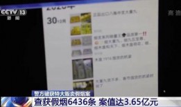 陇南爆料新闻电话号码,揭秘民生热点，倾听民声心声