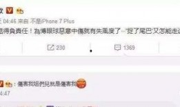 新的新闻爆料是真的吗视频,揭秘真相，真相究竟如何？